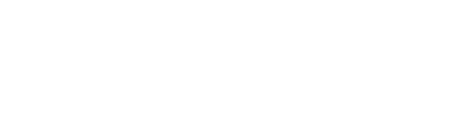 Zynga Wordmark White